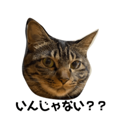 Yamada_20211021073113