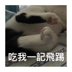 蔡家麵麵貼圖