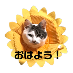 saori_20211020164711