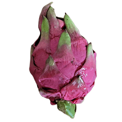 Food Series : Some Pitaya (Dragon Fruit)