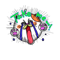 Funny ugly cat