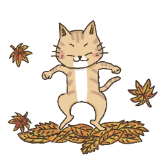 猫の助の日常使い　秋冬から年末年始Ver