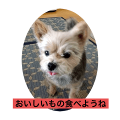 chie_20211021153507