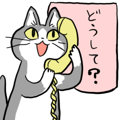 Kitten talks on the phone