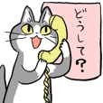 電話 猫 どうして