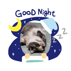 SmilE_20211021095207