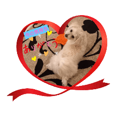 arisa_20211021182356