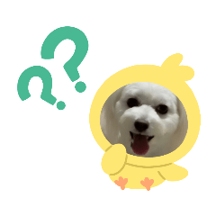 arisa_20211021183836