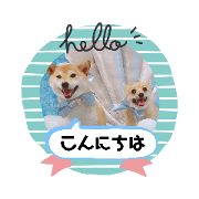 Brown dogs stickers/Daily