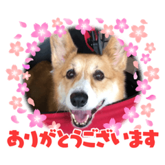miki_20211021194557