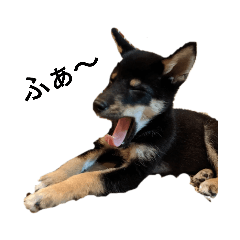 saori_20211021211817