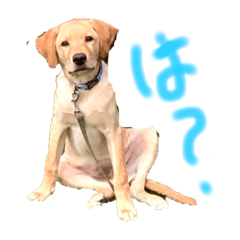hana_20211021223407