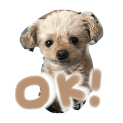 nanami_20211022070333