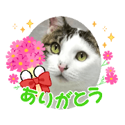 Tomotan_20211022085347
