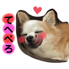 Miki_20211022092713