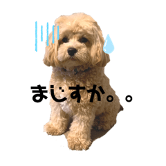 Natsumi_20211021204654