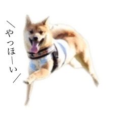 omochi_20211021213329