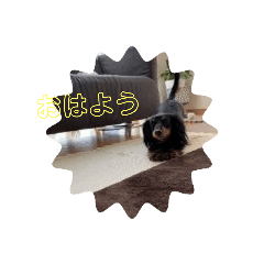 Mary_20211021223509