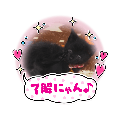 kuu_20211021220445
