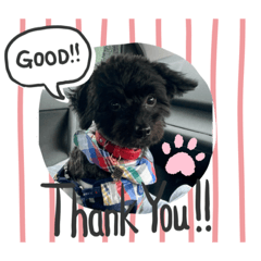 MICHIKO_20211021215722