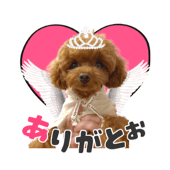MIKI_20211022074540