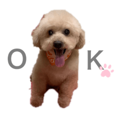 NOZOMI_20211022093002