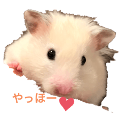 Omochi_20211022135433