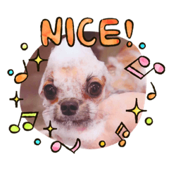 suzu_20211022133556