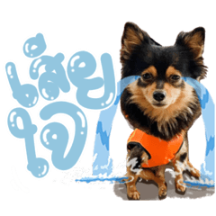 Iamnook_20211022094600