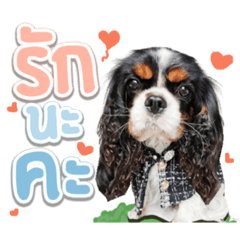 Iamnook_20211022093754