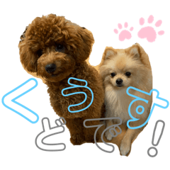 sayuri_20211022151714