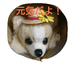 maketofamily