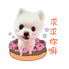 小不點的日常生活❤️