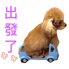 丁丁是媽寶