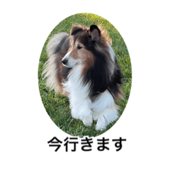 hana_20211022154831