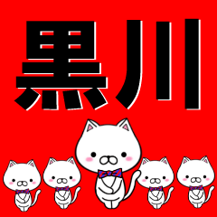 超★黒川(くろかわ・クロカワ)なネコ