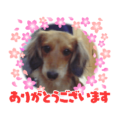 saori_20211022215808