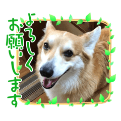 miki_20211022220350