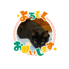 yukina_20211022232435