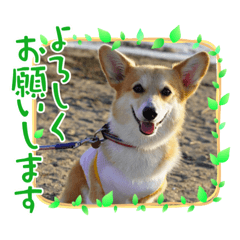 miki_20211023084340