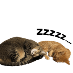 miyuu_20211022195704