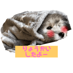 ayumi_20211023000913