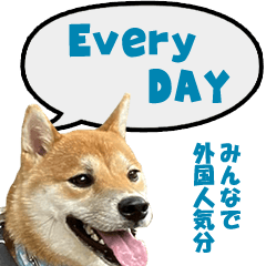 ลูกสุนัข kichi Joji สามารถใช้ได้ทุกวัน