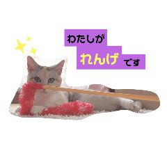 Aoi_20211023122042