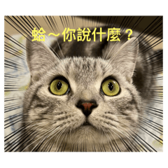 ꧁小天꧂