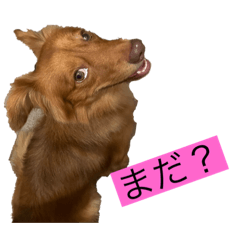 yuka_20211023125321