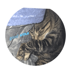 MELON_20211023121059