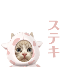 Nozomi_20211023135316