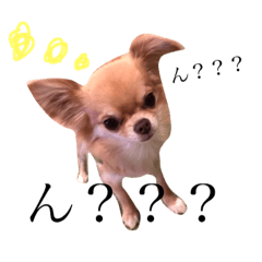 okasta