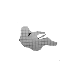 Nora_20211023175204